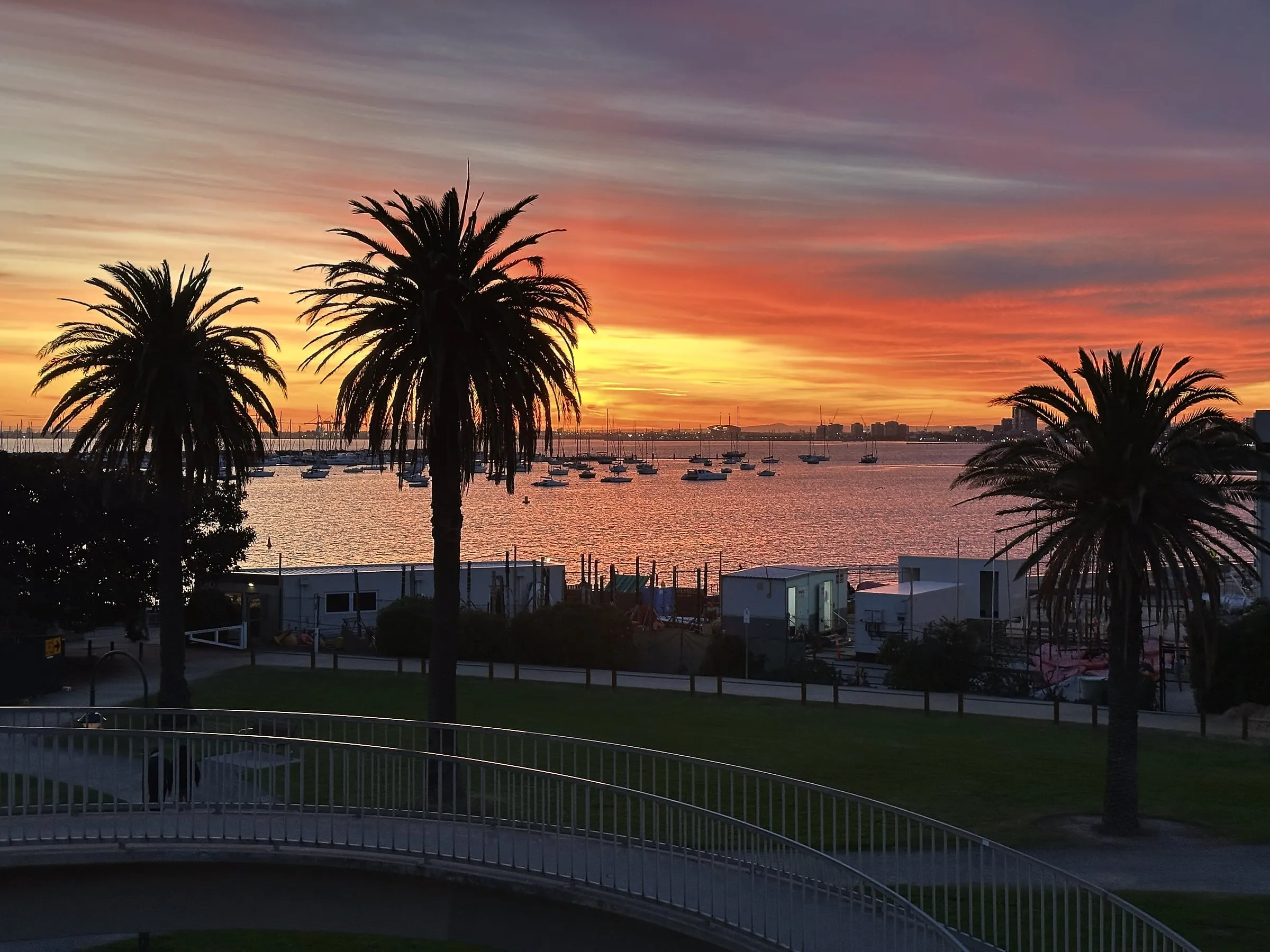 Palm trees silhouetted against a red and orange sunset over the bay, with boats on the water