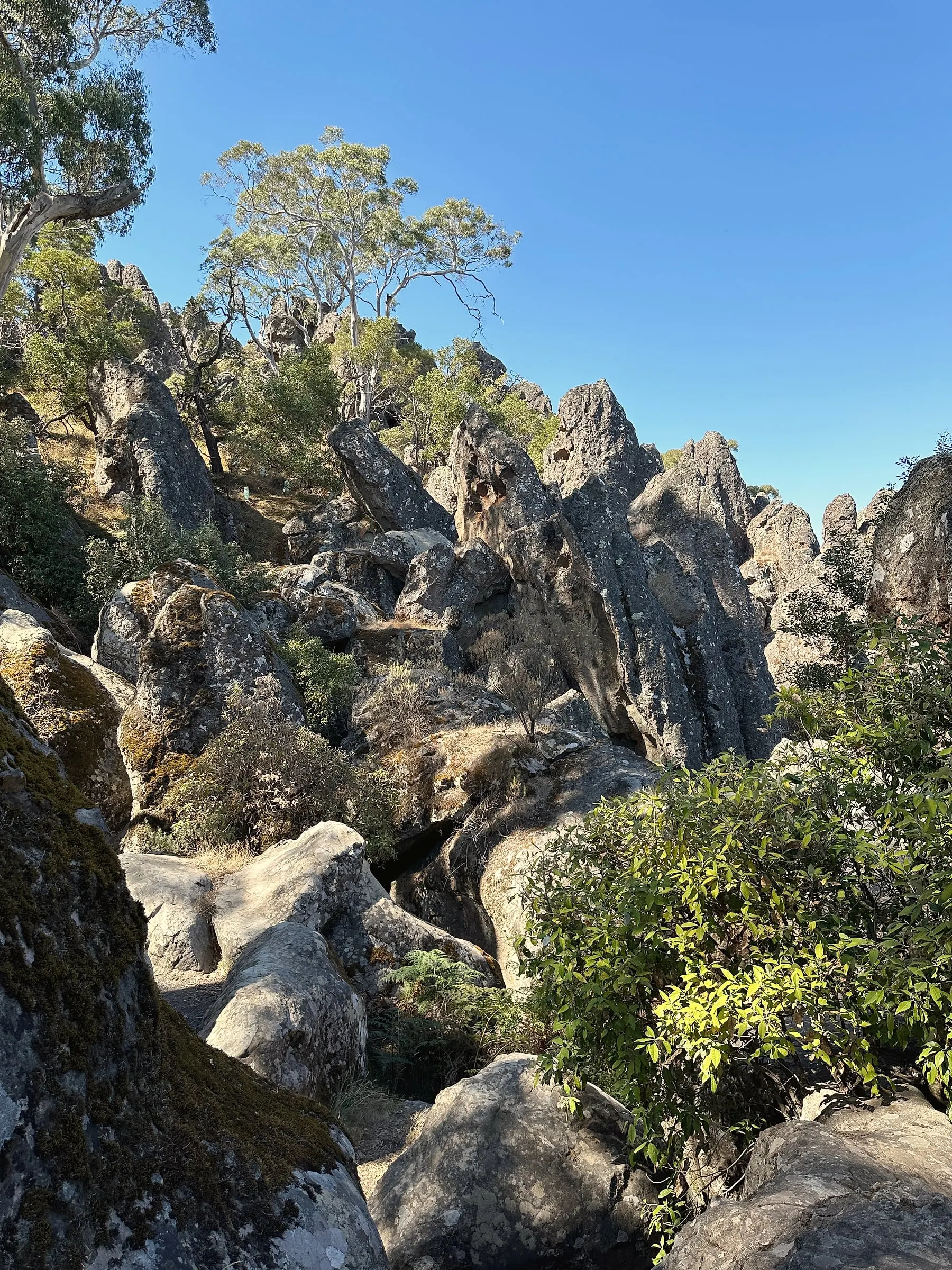 Jagged volcanic rock spires and boulders at Hanging Rock, with gum trees above