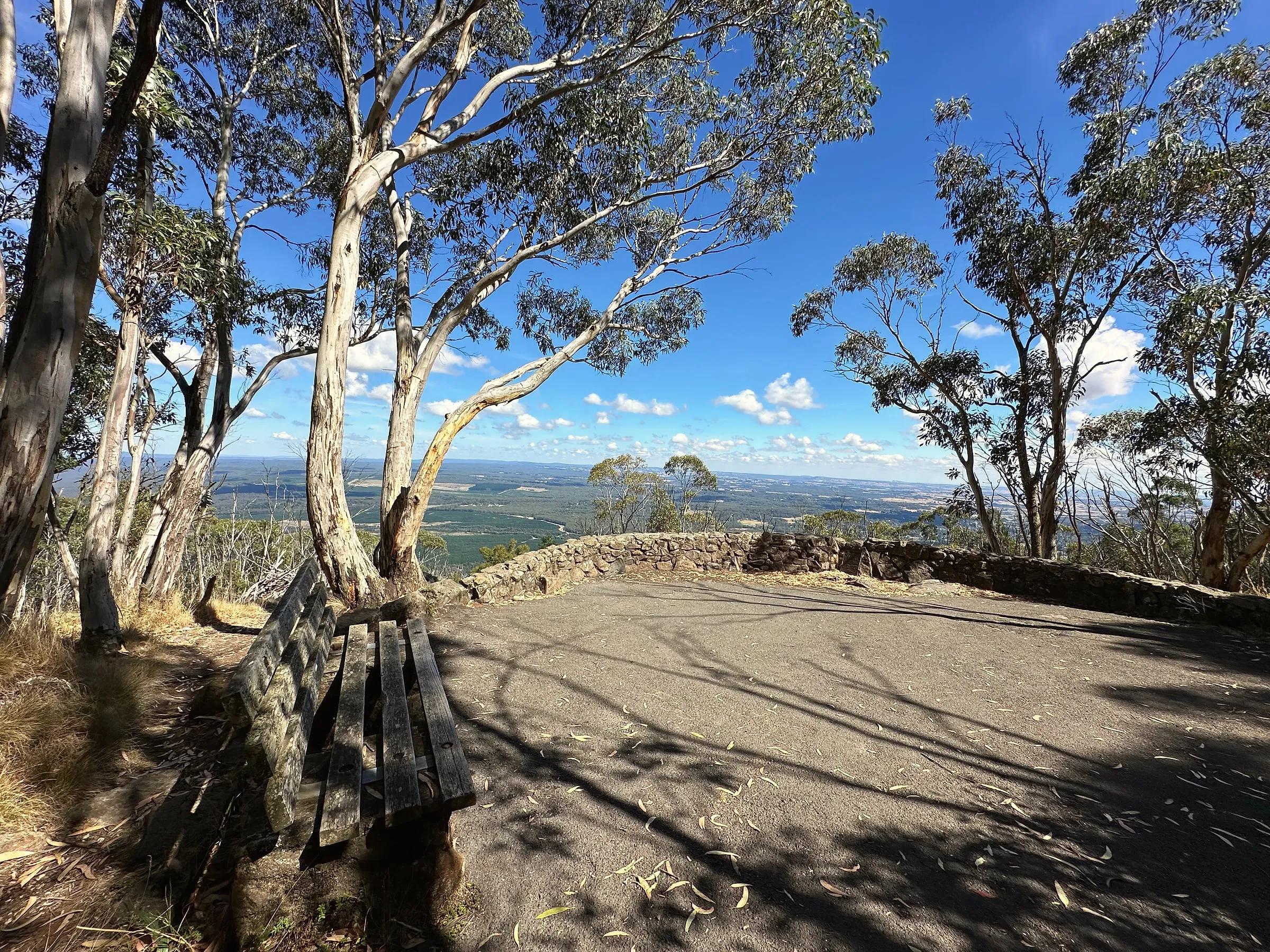 A bench beneath white-trunked gum trees at Major Mitchell Lookout, with a stone wall and wide views over the plains